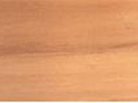Hoop Pine Hoop Pine